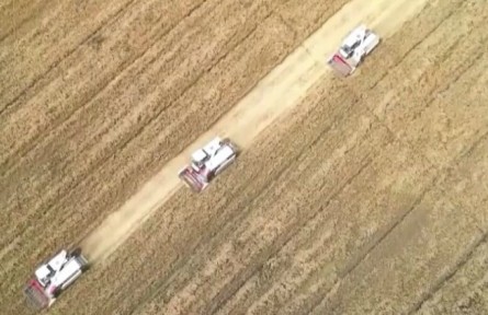 2021年全國夏糧總產(chǎn)量達(dá)2916億斤 再創(chuàng)歷史新高