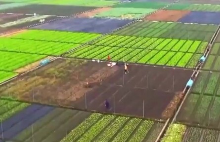 農業(yè)農村部：2021年二季度農產品抽檢總體合格率為97.8%