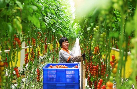 山東省德州市慶云縣：激活現(xiàn)代農(nóng)業(yè)“一池春水”