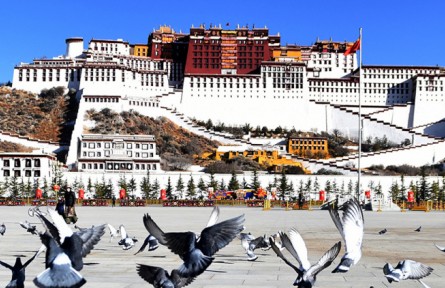 西藏和平解放70周年：建設(shè)美麗幸福西藏 各族人民幸福感越來(lái)越強(qiáng)