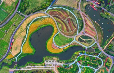 第一觀察|如何促進共同富裕，總書記這樣部署