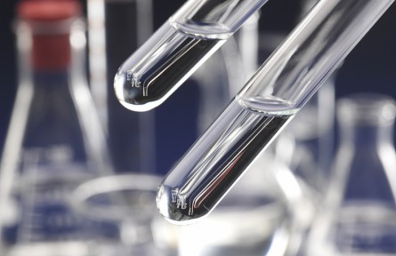 科技名詞 | 山梨酸鉀