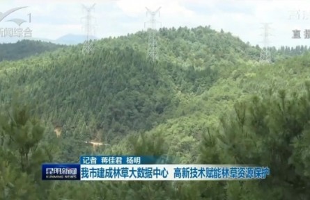 云南昆明建成林草大數(shù)據(jù)中心 高新技術(shù)賦能林草資源保護(hù)