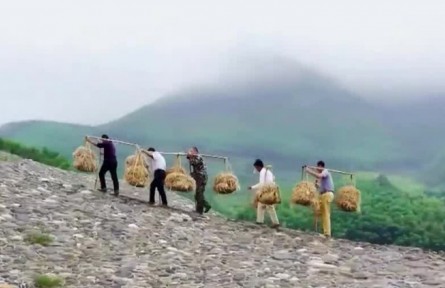 【在習(xí)近平新時代中國特色社會主義思想指引下】全面小康 一個民族也不能少