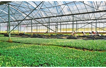 南陽重耕——踐行習近平經(jīng)濟思想調(diào)研記