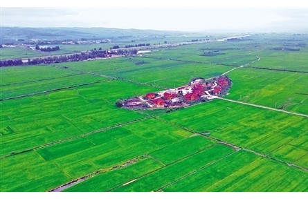 吉林問糧——踐行習近平經(jīng)濟思想調(diào)研記