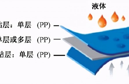 四百五十年不降解，亂丟棄口罩危害到底有多大？