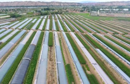 甘肅白銀：鞏固拓展脫貧攻堅成果同鄉(xiāng)村振興有效銜接