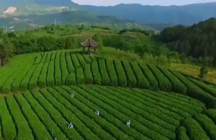 安徽：金融“活水” 助力產業(yè)茁壯成長