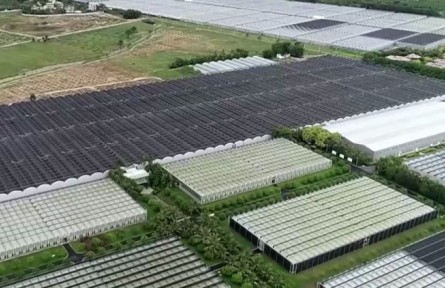 海南陵水：科技助力 吹著空調(diào)來(lái)種田