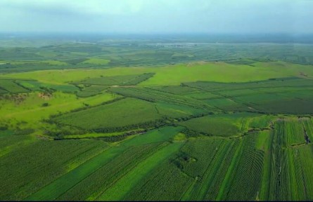 我國重要的糧食產(chǎn)地，奮斗50年才有的北大倉，為何退耕還荒不種了