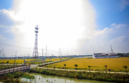 江蘇常州武進(jìn)：堅(jiān)持示范引領(lǐng) 著力推進(jìn)高標(biāo)準(zhǔn)農(nóng)田建設(shè)