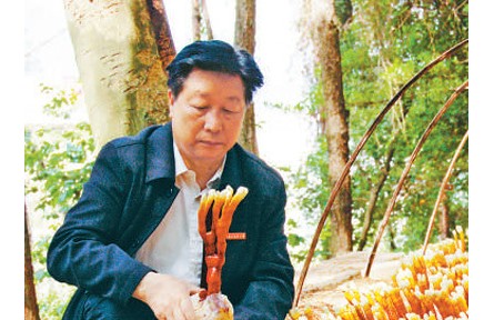 《山海情》蘑菇專家原型、“最美教師”林占熺：心心念念的，永遠(yuǎn)是菌草