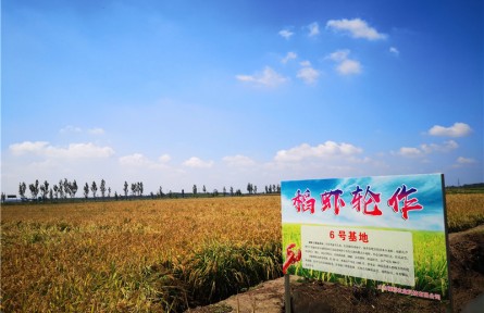 山東省淄博市高青縣：資源變資產 資金變股金 農民變股東