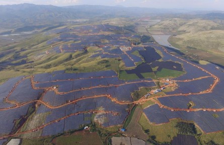 云南紅河：“陽光產(chǎn)業(yè)”為鄉(xiāng)村振興注入動力