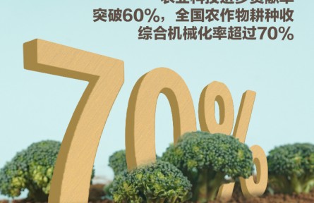 中國(guó)產(chǎn)糧能力有多強(qiáng)？這些數(shù)據(jù)告訴你答案