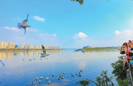 四川：“鳥口普查”怎么查？