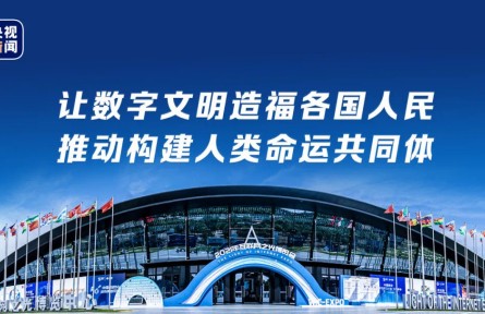 邁向數(shù)字文明新時代的中國方案