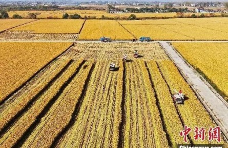 中國式現(xiàn)代化“新途”何解？