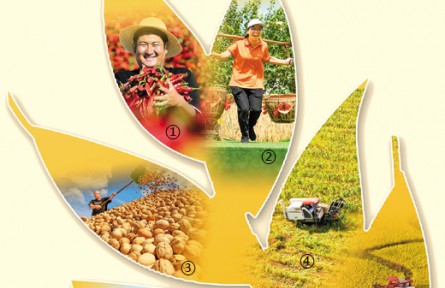 特色產(chǎn)業(yè)，助力中國農(nóng)民增收