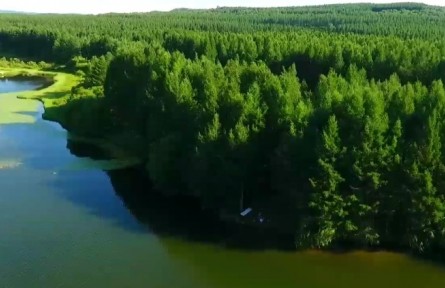 河北：向綠深行！塞罕壩這四年！