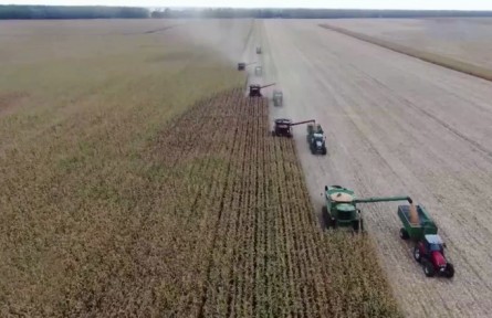 有力農(nóng)業(yè)振興政策加快推進(jìn)農(nóng)業(yè)科技現(xiàn)代化