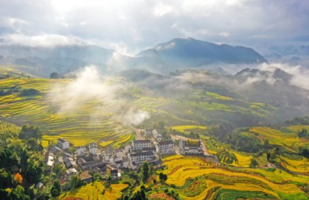 浙江五年內將培育10萬名農創(chuàng)客 輻射帶動100萬名農民實現增收