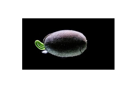 生物多樣性專題視頻：人類與大自然