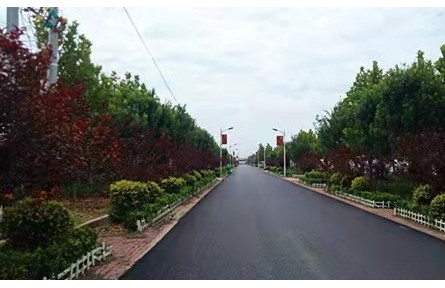 山東廣饒花官鎮(zhèn)：黨建引領(lǐng)強產(chǎn)業(yè) 鄉(xiāng)村振興增動力