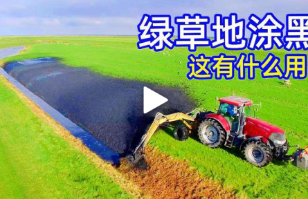 不可思議的挖泥機，為什么荷蘭人要把草地“涂黑”