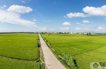 廣西：全面推行耕地保護(hù)田長制