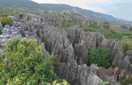 科技名詞 | 生物多樣性保護策略