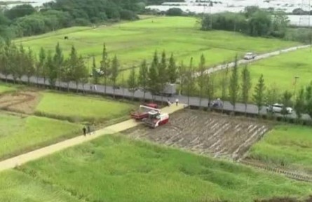 豐收中國·浙江浦江：稻作全程機械化 農業(yè)生產越來越高效