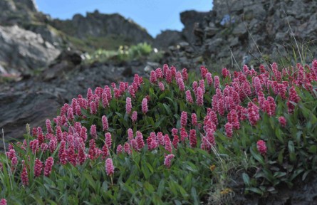 科技名詞 | 生物多樣性經(jīng)濟價值