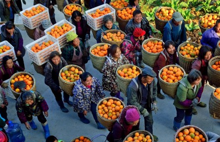 第十屆全國農(nóng)民攝影大展作品：豐收的喜悅