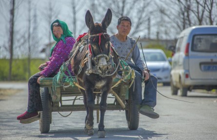 第十屆全國農(nóng)民攝影大展作品：變遷