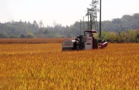 我國(guó)糧食應(yīng)急保障體系初步建立
