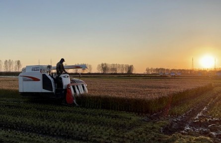 全國優(yōu)秀共產(chǎn)黨員聶守軍：每天“泡”稻田 從1.4萬個(gè)可能中挑出一粒種子