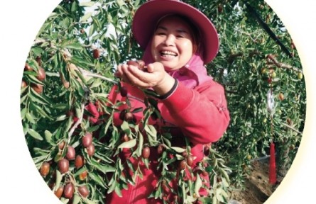 新疆兵團一師尤良英：心系民族團結 為農(nóng)民代言帶貨