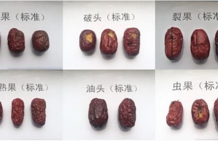 93、成果名稱:紅棗質(zhì)量檢驗(yàn)分級與標(biāo)準(zhǔn)化技術(shù)服務(wù)