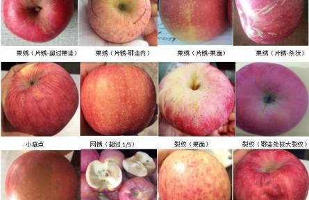 92、成果名稱：蘋果商貿(mào)流通質(zhì)量分級檢驗(yàn)與標(biāo)準(zhǔn)化控制