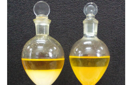 91、成果名稱：枸杞及其加工產(chǎn)品中類胡蘿卜素快速提取檢測技術(shù)