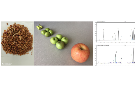 78、成果名稱：蘋果疏果多酚制備技術(shù)