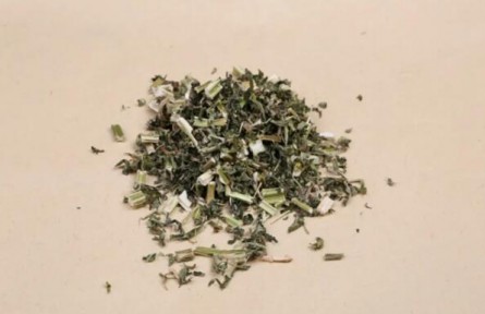 學(xué)認中藥材：益母草