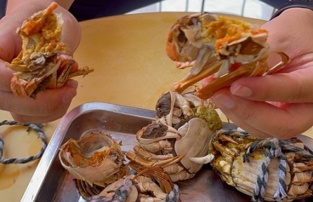 山東省濟(jì)寧市微山縣韓莊鎮(zhèn)：大力發(fā)展特色農(nóng)業(yè) 全面推進(jìn)鄉(xiāng)村振興