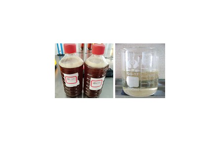 59、成果名稱：果脯蜜餞加工廢糖液回收利用關(guān)鍵技術(shù)