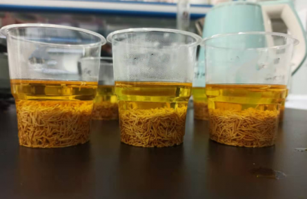 ?53、成果名稱：牡丹花蕊汽爆速溶茶加工技術(shù)