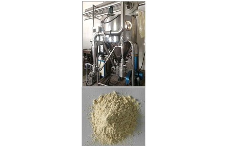 ?43、成果名稱：速溶果蔬粉生產(chǎn)關(guān)鍵技術(shù)