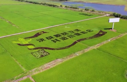 擺脫貧困：中國(guó)書(shū)寫(xiě)人類(lèi)發(fā)展史上的光輝篇章