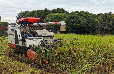 科技先行 浙江省紹興市積極打造特色未來農業(yè)